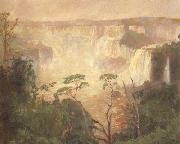 Pedro Blanes Cataracts of the Iguazu (nn02) china oil painting reproduction